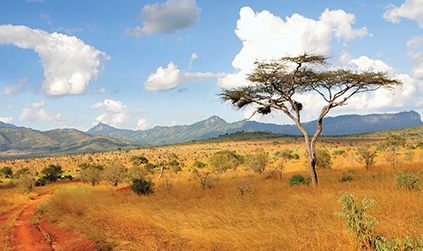 Kenya